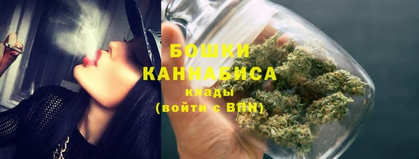 крисы Дмитров