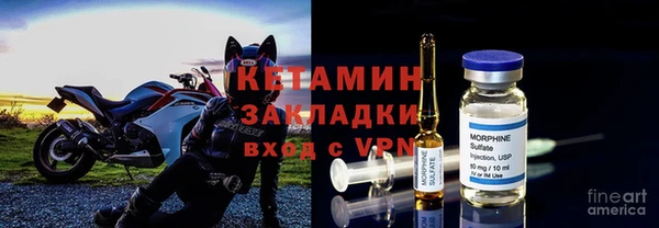крисы Дмитров