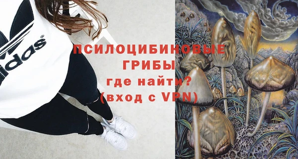 дмт Дмитровск