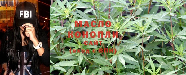 дмт Дмитровск