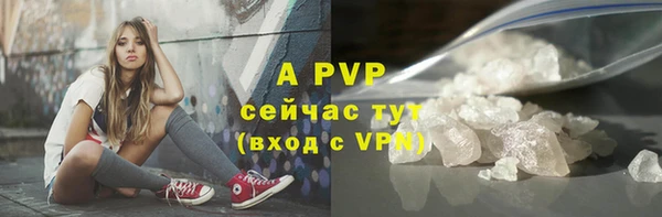 крисы Дмитров