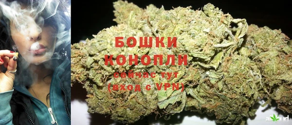 дмт Дмитровск