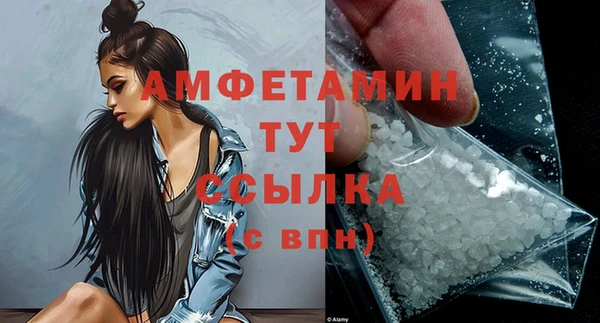 дмт Дмитровск