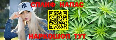 мяу мяу мука Донской