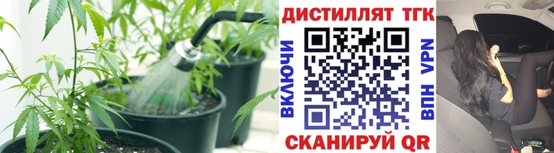 Дистиллят ТГК Wax  Острогожск 