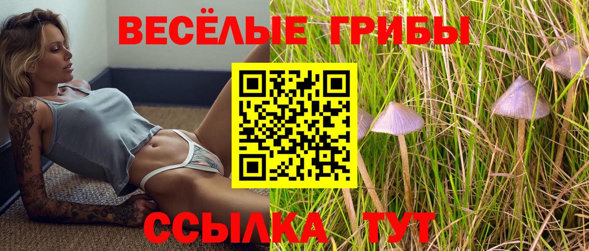 Острогожск  Псилоцибиновые грибы мухоморы  Вход с VPN  Галлюциногенные грибы Magic Shrooms 