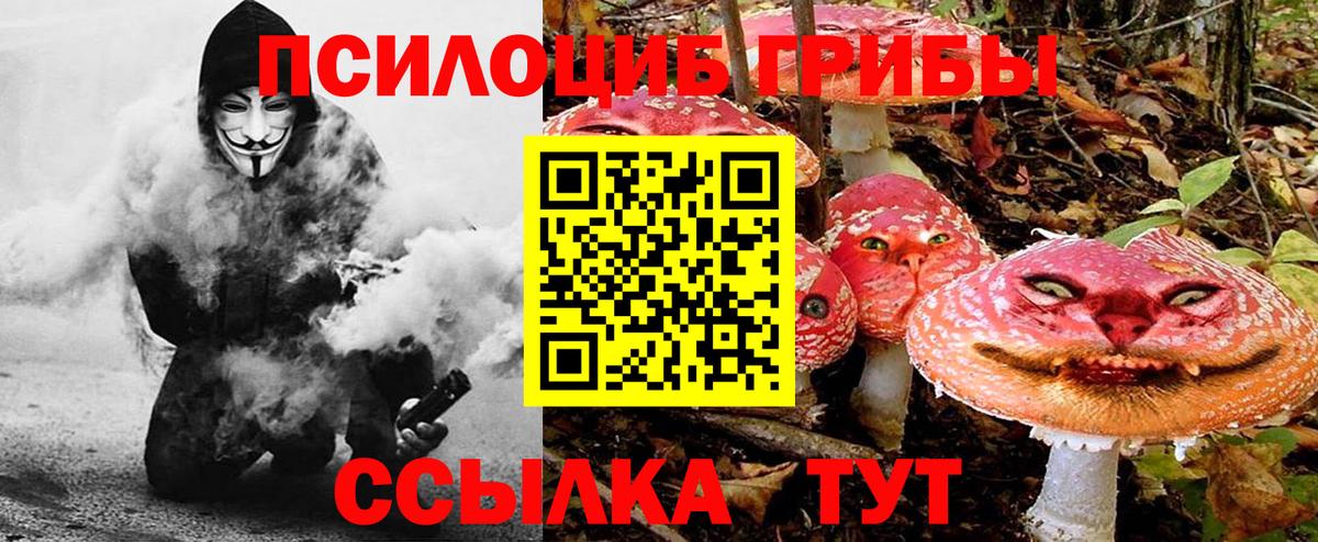 Галлюциногенные грибы GOLDEN TEACHER  Острогожск  Псилоцибиновые грибы Psilocybine cubensis 